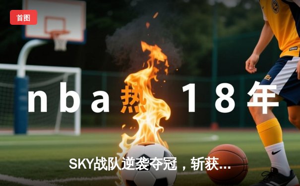 SKY战队逆袭夺冠，斩获《王者荣耀》年度职业联赛总冠军